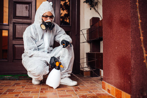 Reliable Wasp Removal contractor in East Sandwich, MA by Show Me Pest Control